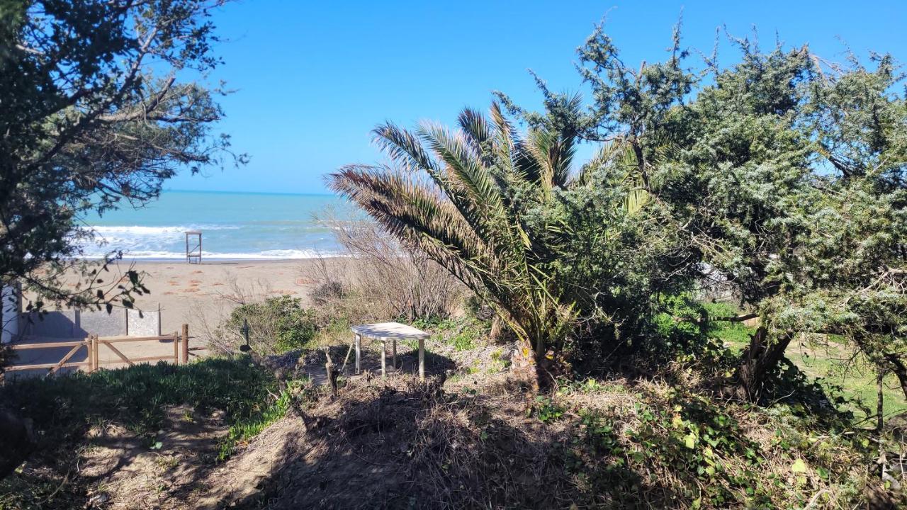 Miledy Monolocale Direttamente Sul Mare Lejlighed Marina di Castagneto Carducci Eksteriør billede